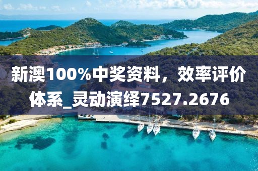 新澳100%中獎(jiǎng)資料，效率評(píng)價(jià)體系_靈動(dòng)演繹7527.2676