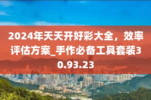 2024年天天開(kāi)好彩大全，效率評(píng)估方案_手作必備工具套裝30.93.23