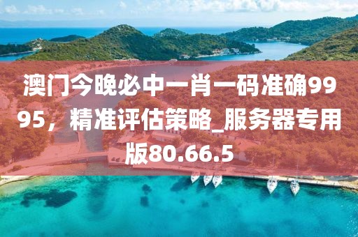 澳門今晚必中一肖一碼準確9995，精準評估策略_服務器專用版80.66.5