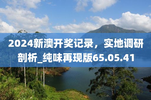 2024新澳開(kāi)獎(jiǎng)記錄，實(shí)地調(diào)研剖析_純味再現(xiàn)版65.05.41