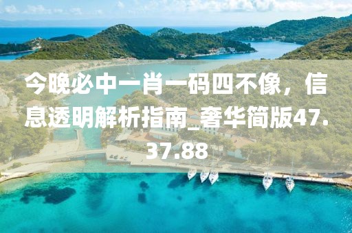 今晚必中一肖一碼四不像，信息透明解析指南_奢華簡版47.37.88