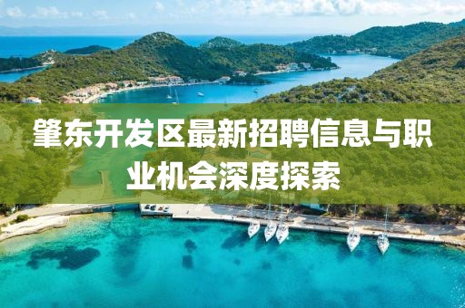 肇東開發(fā)區(qū)最新招聘信息與職業(yè)機(jī)會深度探索