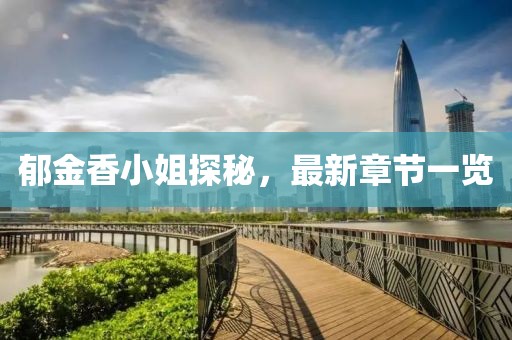 2024年11月 第20頁