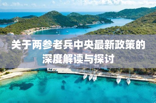 關(guān)于兩參老兵中央最新政策的深度解讀與探討
