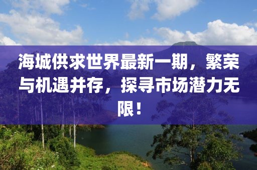 海城供求世界最新一期，繁榮與機(jī)遇并存，探尋市場(chǎng)潛力無限！